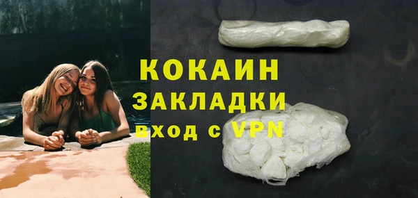 шишки Баксан