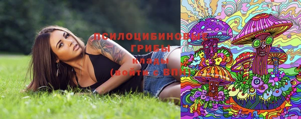 шишки Баксан